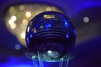 DSC_5977 (Large).JPG